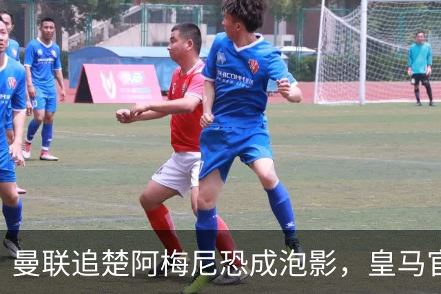 曼联追楚阿梅尼恐成泡影，皇马官宣不签恩佐！拉爵必须避免重蹈德容覆辙